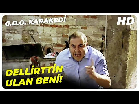 Delirttiniz Lan Beni | G.D.O. Karakedi Şafak Sezer Komedi Filmi