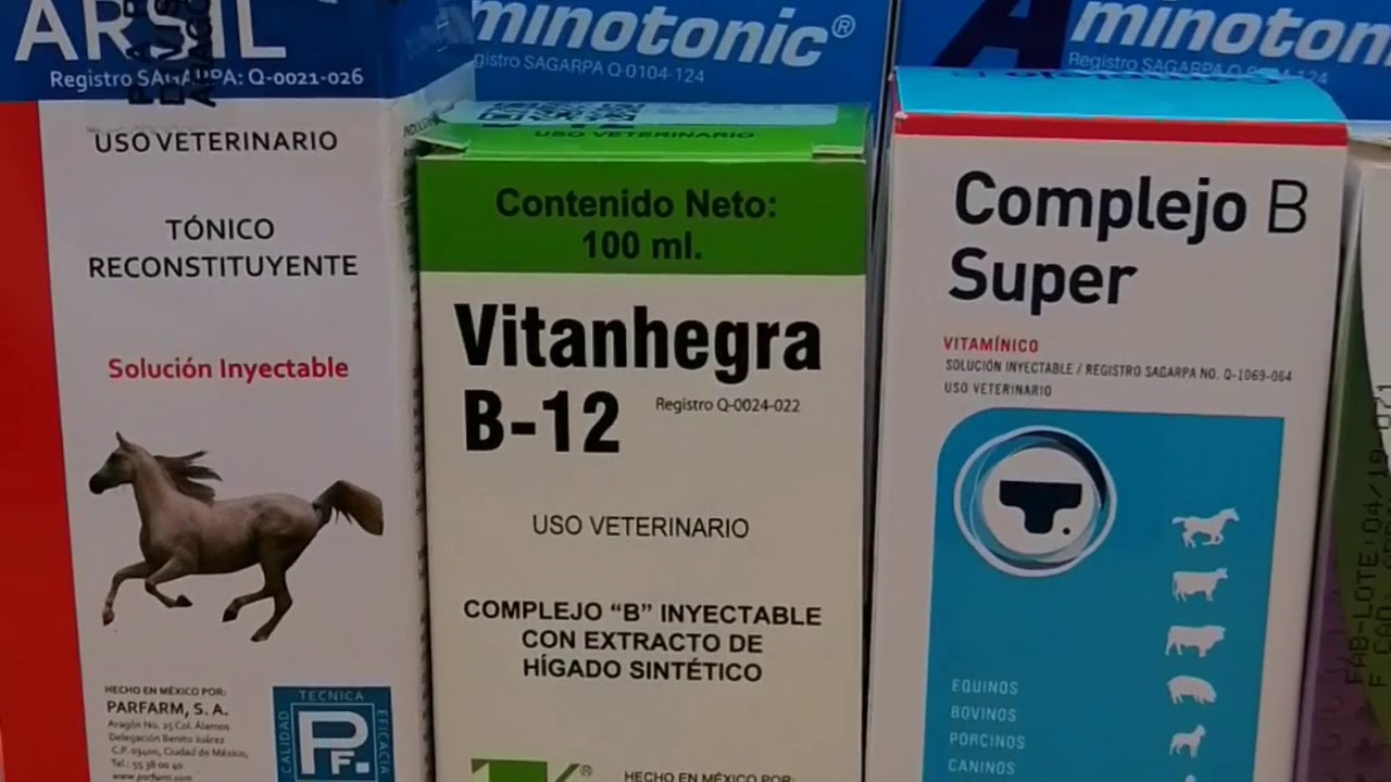 Vitaminas para Caballo