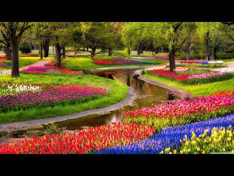 Study/Work Liquid Drum and Bass Mix #1