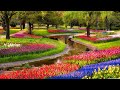 Study Work Liquid Drum And Bass Mix 1