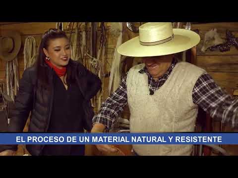 Conoce la talabartería de Santa Juana: una tradición que no se rinde