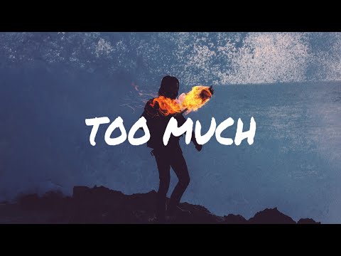 David Guetta x The Chainsmokers Type Beat - Too Much ft Ariana Grande | EDM TYPE BEAT 2020