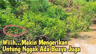 Download lagu Wow || It's getting scarier || Luckily there aren't any crocodiles either || River normalization mp3