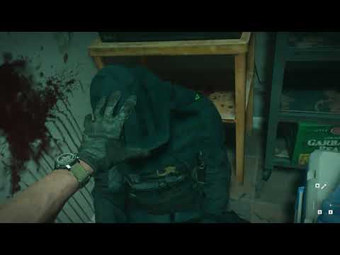 Video preview
