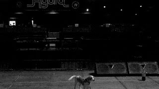 Huey Lewis &amp; The News&#39; &quot;Better Be True&quot; performed by Jay Patrik Boland