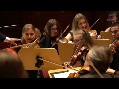 Johannes Brahms - Hungarian Dance No. 6 -Western Balkans Youth Orchestra, Desar Sulejmani, Conductor