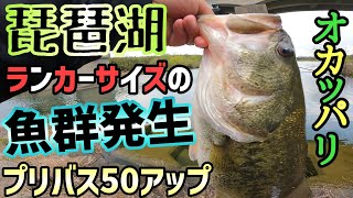 琵琶湖バス釣り Gwは琵琶湖バス釣りに行くしかない 釣れるバスが最近やばい太さ これが世界の琵琶湖北湖クオリティ 琵琶湖おかっぱりは現在フィーバー 春のプリバスは今が絶頂期 オカッパリで狙おう أفضل موقع لتشغيل ملفات Mp3 مجان ا 琵琶湖バス釣り Gwは琵琶湖バス釣りに行くしかない 釣れるバスが最近やばい太さ これが世界の琵琶湖北湖クオリティ 琵琶湖おかっぱりは現在フィーバー 春のプリバスは今が絶頂期 オカッパリで狙おう أفضل موقع لتشغيل ملفات Mp3 مجان ا
