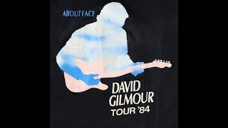 David Gilmour - Until We Sleep 1984
