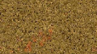 Nada es lo que parece   Orquesta de Perros   Gabi Rubi   FLor DG PH