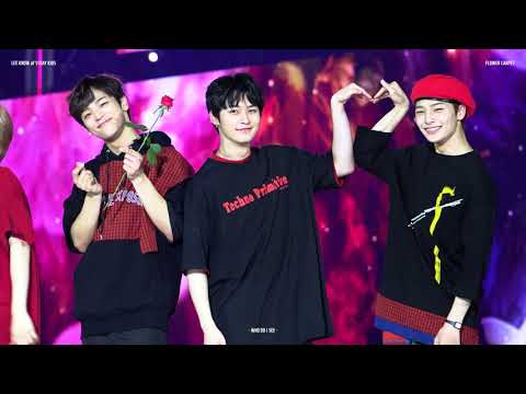 180802 스트레이키즈 Stray Kid KMF / 플라워카펫 (리노 LeeKnow focus / Front ver.)