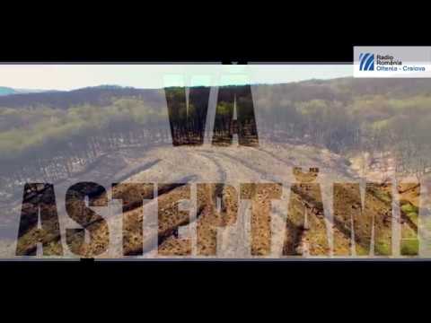 RADIO OLTENIA TE INVITA LA VERDE!