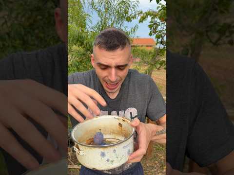 TI U DETINJSTVU SE IGRAS
