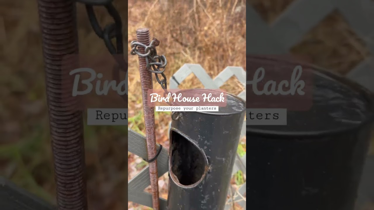 Instead of trashing repurpose your planters as Bird houses #birdhouse #planterhack #tips