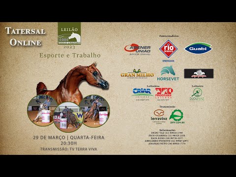 Tatersal Online - Leilão Haras Cruzeiro Esporte e Trabalho 2023