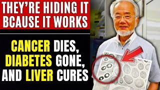 Japan’s Oldest Doctor Reveals: Eat THIS Every Day to Reach 100