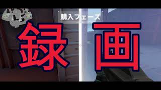 Slice of VALORANT: はい録画。