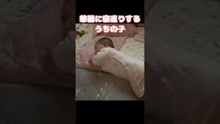 すきまに嵌まったうちの子#shorts