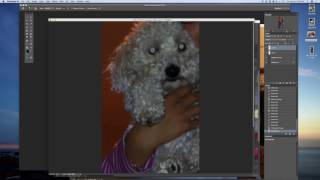 Photoshop: How to remove red eye from dogs