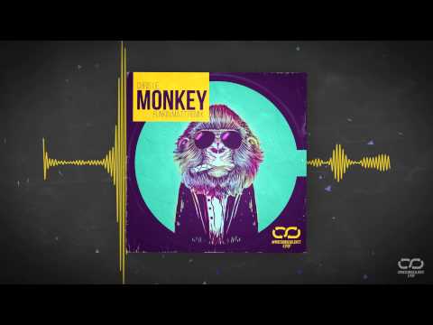 Chris Lie - Monkey (Funkin Matt remix) #ResirkulertLyd (Audiovideo)