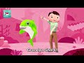 Bebefinn Baby Shark But Little Baby Bum