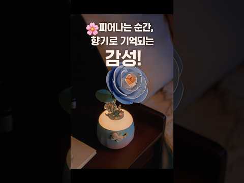 조립식 핸드메이드 DIY 3D 입체 퍼즐 블록 꽃 아로마테라피 디퓨저 영상 썸네일
