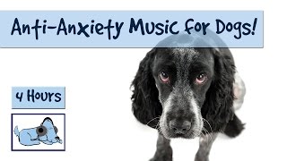 4 Hour Anxiety Playlist for Dogs! Cure Separation Anxiety and Soothe your Dog with Music