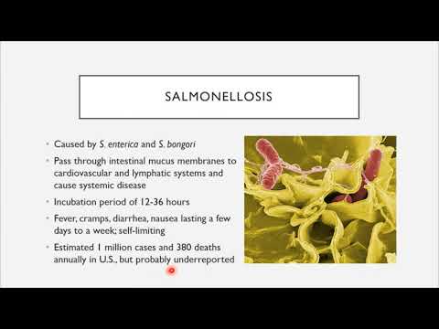 BIO 205 - Kapitel 24 - Infektionen des Verdauungssystems