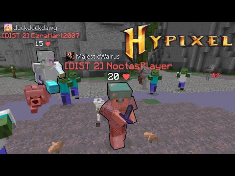 the adventures of duckduckdawg and majesticwalrus - blitz survival games (hypixel)