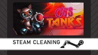 Steam Cleaning - Cats Tanks