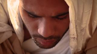 Ricardo Donoso - Gallicinium