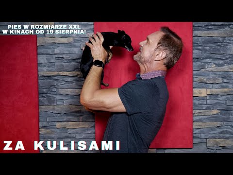 PIES W ROZMIARZE XXL- Cezary Pazura i Reksio