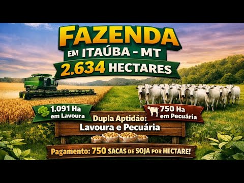Fazenda de Dupla Aptidão Venda em Itaúba - MT, apresentando alto nível de consolidação produtiva