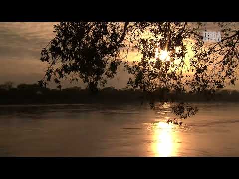 Viradouro no TERRA DA GENTE da Rede Globo!