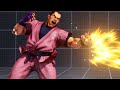 I Fought The Real Dan Hibiki And This Happened