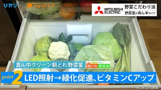 MXシリーズ 6ドア冷蔵庫572L 真ん中野菜室 グレイングレージュ（フレンチドア）【大型商品（設置工事可）】
