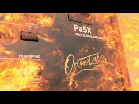 KORG Pa5X ORIENTAL - Professional Oriental Arranger New Keyboard Türkisch Arabisch Iran & More