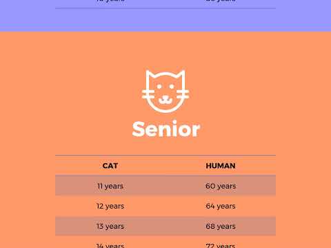 Cat years to Human years - How old is your cat ?