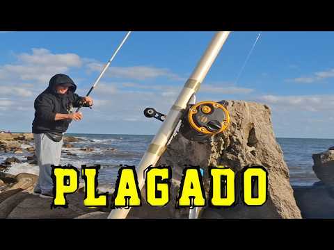 🎣PLAGADO, P+esca por Muelle de Atlantida y Punta Gorda