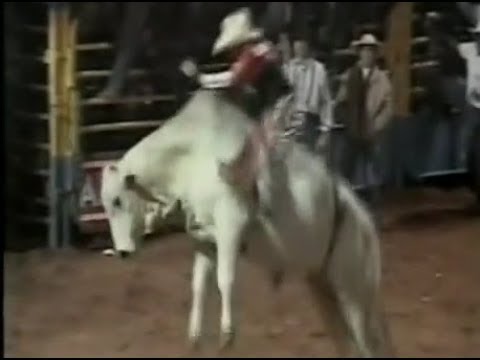 Reportagem Globo Esporte - Rodeio Americana - Zé do Prato