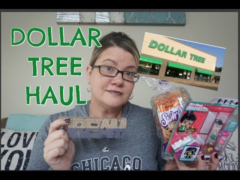 DOLLAR TREE HAUL 10/12/17 | LOTS OF NEW FINDS! Video