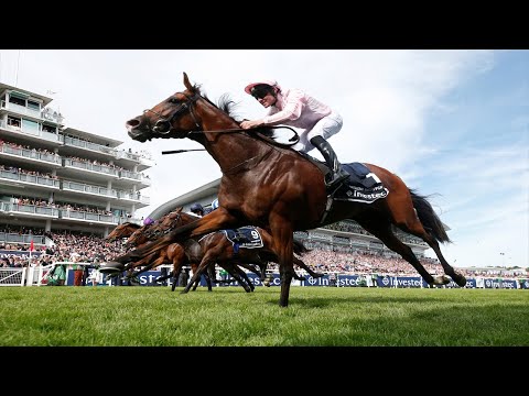 Top 3 Crazy Horse Racing Finishes