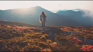 Download lagu Amidy x Outwild - Satellite (N3WPORT Remix) [LYRIC VIDEO] mp3