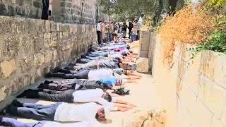 ותחזינה עיננו: יהודים משתחווים בהר הבית בתשעה באב (חדשות הקול היהודי) - התמונה מוצגת ישירות מתוך אתר האינטרנט יוטיוב. זכויות היוצרים בתמונה שייכות ליוצרה. קישור קרדיט למקור התוכן נמצא בתוך דף הסרטון ותחזינה עיננו: יהודים משתחווים בהר הבית בתשעה באב (חדשות הקול היהודי) - התמונה מוצגת ישירות מתוך אתר האינטרנט יוטיוב. זכויות היוצרים בתמונה שייכות ליוצרה. קישור קרדיט למקור התוכן נמצא בתוך דף הסרטון