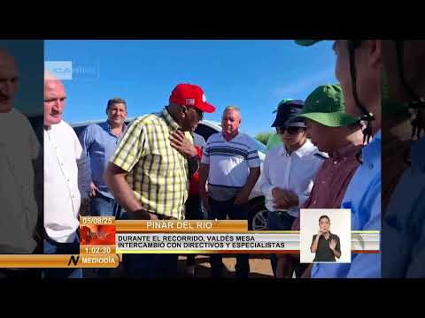 Cuba: Chequean estrategia económica en Pinar del Río