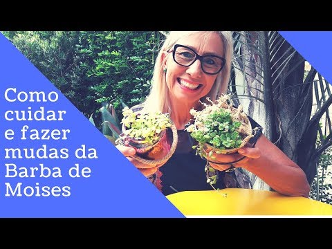 download lagu mp3 mp4 Barba De Moises, download lagu Barba De Moises gratis, unduh video klip Barba De Moises