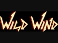 WILD WIND - Я принимаю бой 