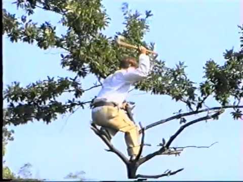 11. Inserti filma - Aluna la Pobražme - Preobraženje - Tanda 2000.