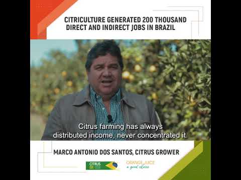 The citrus industry is responsible for the generation of 200 thousand