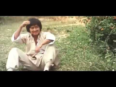 Kung Fu Genius 1979 : Cliff Lok (Kung Fu Genius) vs. Hsiao Ho (iron ring)