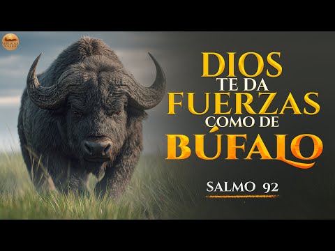 El Canto Para Restaurar las Fuerzas | SALMO 92 | Dios te levantará #musicacristiana